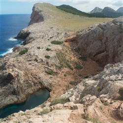 Het ervaren van een buitengewone wildlife-ervaring in Punta d'Es Farallo