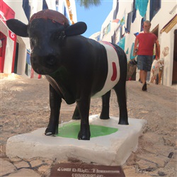 Het ontdekken van de klassieke Spaanse stierenvechtcultuur op Ibiza