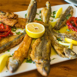 Het proeven van vers gevangen vis bij een lokale tapasbar in de haven van San Antonio