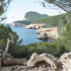 Ontdek de betoverende natuurlijke parken van Ibiza