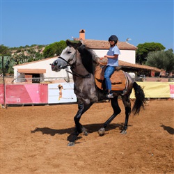 Ontdek de betoverende wereld van paardenshows op het lokale platteland van Ibiza