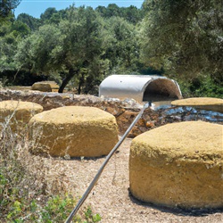 Ontdek de Hemelse Smaak van Lokale Kaas bij de Idyllische Boerderijen van Ibiza