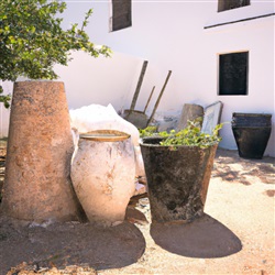 Ontdek de verborgen schatten van Ibiza: Proef de authentieke Ibiziaanse wijnen bij de lokale wijnhuizen!